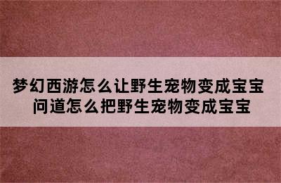 梦幻西游怎么让野生宠物变成宝宝 问道怎么把野生宠物变成宝宝